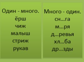 Урок русского языка в 2 классе «Единственное и множественное число имен существительных», слайд 3