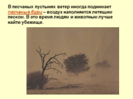Пустыни (характеристика зоны пустынь России), слайд 34