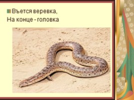 Пустыни (характеристика зоны пустынь России), слайд 38