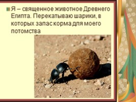 Пустыни (характеристика зоны пустынь России), слайд 39