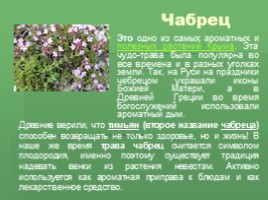 Редкие растения Крыма (к урокам Культура добрососедства и Окружающий мир), слайд 10