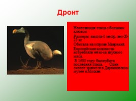Влияние человека на животных, слайд 12