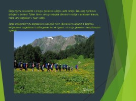Практическая подготовка к автономному существованию в природной среде, слайд 17