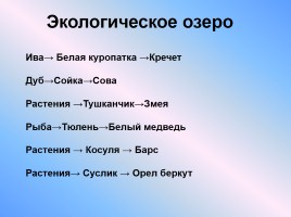 Своя игра «По природным зонам России», слайд 25