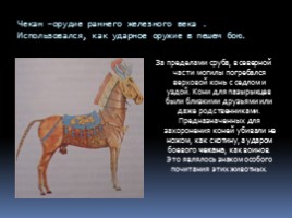 Культура кочевого народа в истории Горного Алтая, слайд 23