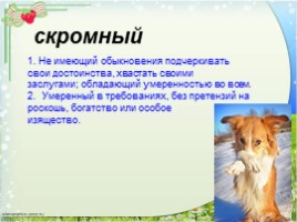 Литературное чтение 2 класс 45 урок - В. Берестов «Кошкин щенок», слайд 12