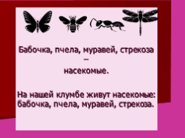 Обобщающие слова при однородных членах, слайд 3