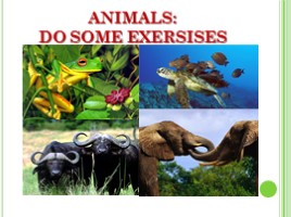Животные - Animals (на английском языке), слайд 12