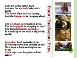 Животные - Animals (на английском языке), слайд 13
