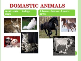 Животные - Animals (на английском языке), слайд 3