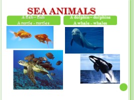 Животные - Animals (на английском языке), слайд 5
