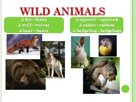 Животные - Animals (на английском языке), слайд 6