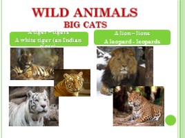 Животные - Animals (на английском языке), слайд 7