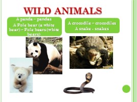 Животные - Animals (на английском языке), слайд 8