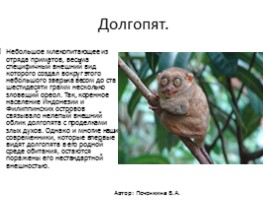 Самые необычные животные планеты, слайд 23