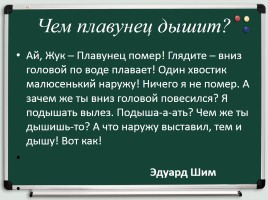 Монолог и диалог - Оформление диалога на письме, слайд 8