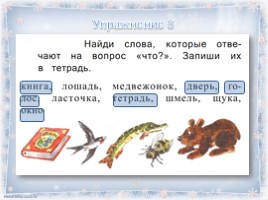 Русский язык 1 класс - Урок 5 «Речевой этикет: слова просьбы и извинения - Слова, отвечающие на вопросы кто?, что?», слайд 8