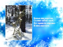 Урок литературного чтения в 3 классе - Урок 18 - И. Суриков «Зима», слайд 22
