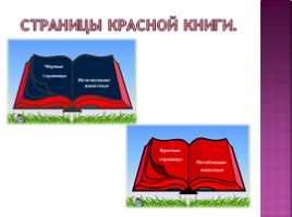 Красная книга России, слайд 3