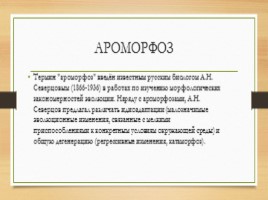 Ароморфозы, слайд 4