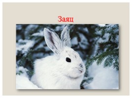 Дикие животные в зимнем лесу, слайд 17