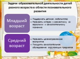Познавательное развитие дошкольников в условиях реализации ФГОС ДО, слайд 3
