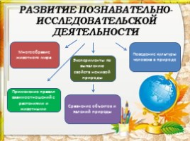 Познавательное развитие дошкольников в условиях реализации ФГОС ДО, слайд 9