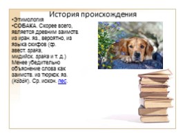 Портрет одного слова «Собака», слайд 5
