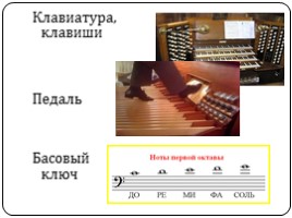 Величественный орган, слайд 7