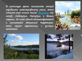 Вепсы (малый коренной народ Северо-Запада России), слайд 2