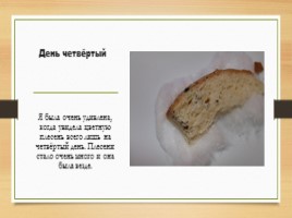 Условия выращивания плесневого гриба, слайд 6