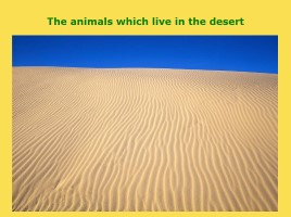 Детская электронная книга «The ANIMALS of our planet», слайд 37