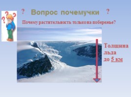 Окружающий мир 4 класс «Антарктида», слайд 8