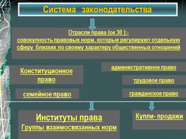 Роль права и жизни человека общества и государства 9 класс презентация