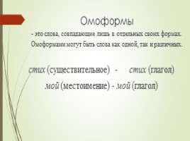 Омонимы, слайд 7