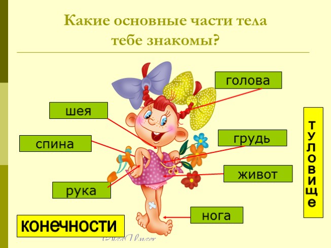 Человек человека 4 класс орксэ презентация