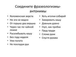 Русский язык 5 класс «Фразеологизмы»