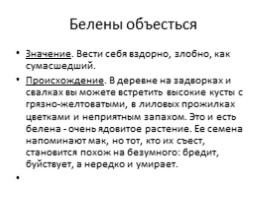 Русский язык 5 класс «Фразеологизмы», слайд 4