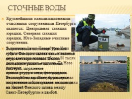 Методическая разработка «Экологические проблемы Санкт-Петербурга», слайд 4