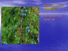 Красная книга Саратовской области (растения), слайд 9