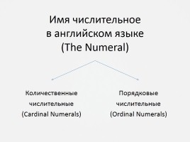 Имя числительное в английском языке «The Numeral», слайд 1