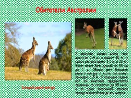 Путешествие по Австралии и Океании, слайд 15