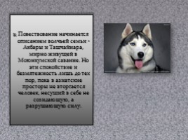 Биография и творчество Чингиза Айтматова, слайд 19