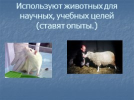 Окружающий мир 3 класс «Животные – часть природы - Роль животных в природе», слайд 9