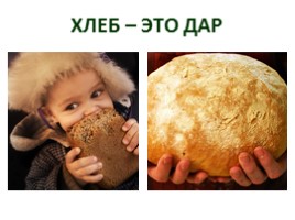 Групповой проект «Хлеб - всему голова», слайд 14