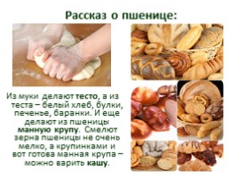 Групповой проект «Хлеб - всему голова», слайд 25