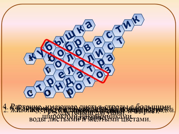 Кроссворд «Болото»