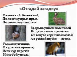 Урок русского языка 5 класс «Разряды имён прилагательных», слайд 4