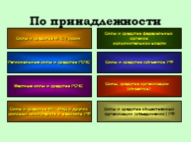 Основные требования Конституции РФ, Федеральных законов, нормативно-правовых актов по защите населения и территорий от ЧС природного и техногенного характера, слайд 39