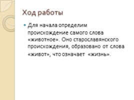 Исследовательская работа «Этимология названий домашних животных», слайд 8